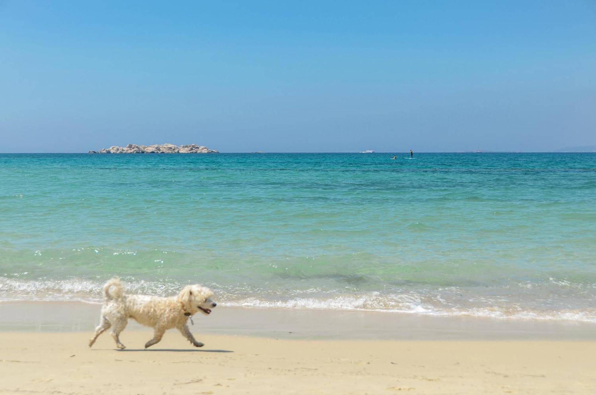 Glaronissi Beach Hotel Maragkas Bagian luar foto